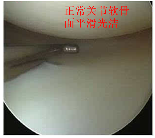 说明: C:\Users\SAMSUNG\AppData\Local\Temp\1616985919(1).png