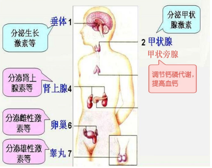 说明: 06a2da9358c2aecb198d6baae86f3fd9